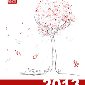 Výroční zpráva 2013