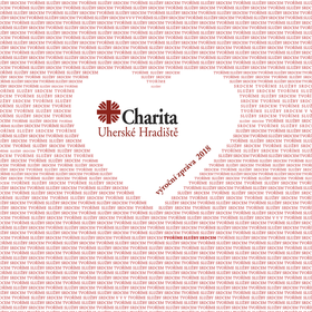 Výroční zpráva 2018