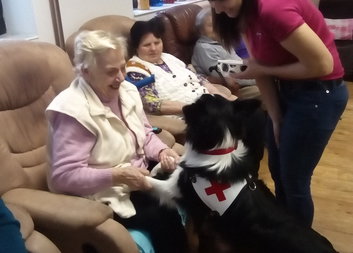  Canisterapie aneb terapie za pomoci psů