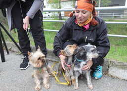 Veronika Mokroš z Kunovic s kamarádkou Lenkou Uherkovou z Hluku vyrazily na trať se svými čtyřnohými miláčky