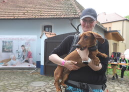 Ano... Někoho doprovázeli čtyřnozí miláčci 