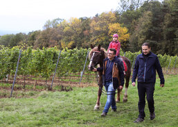 Majitelé tří krásných koní z Hluku, kteří nechybí na žádné Jízdě králů ani při fašanku, umožnili dětem na Antonínku projížďku zdarma.