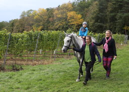 Majitelé tří krásných koní z Hluku, kteří nechybí na žádné Jízdě králů ani při fašanku, umožnili dětem na Antonínku projížďku zdarma.