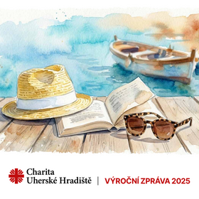 Výroční zpráva 2025